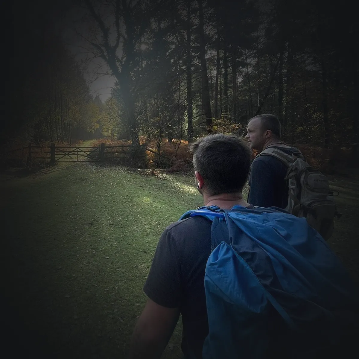 hiking Hiking